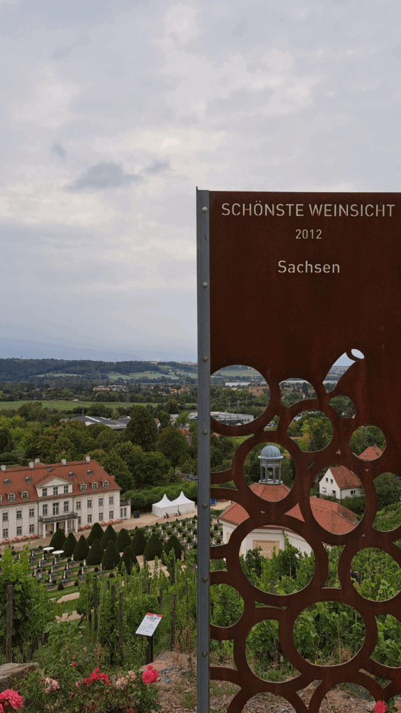 Schönster Weinblick in Sachsen - Hochzeit auf Schloss Wackerbarth